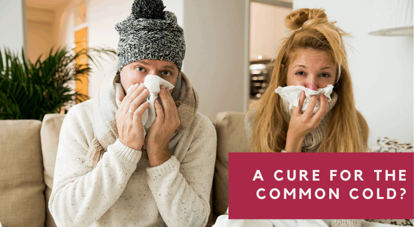 Researchers Working with Mice May Finally Find a Cure for the Common Cold