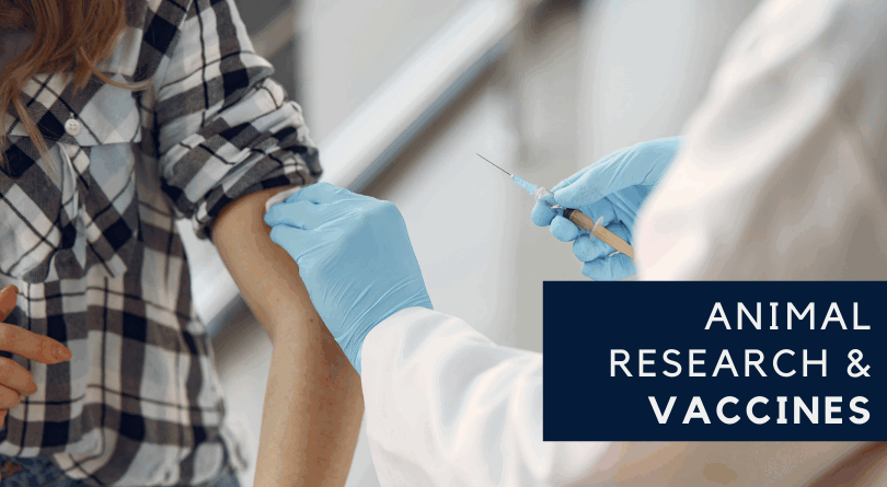 How is a Vaccine Created? Animal Research Plays a Key Role