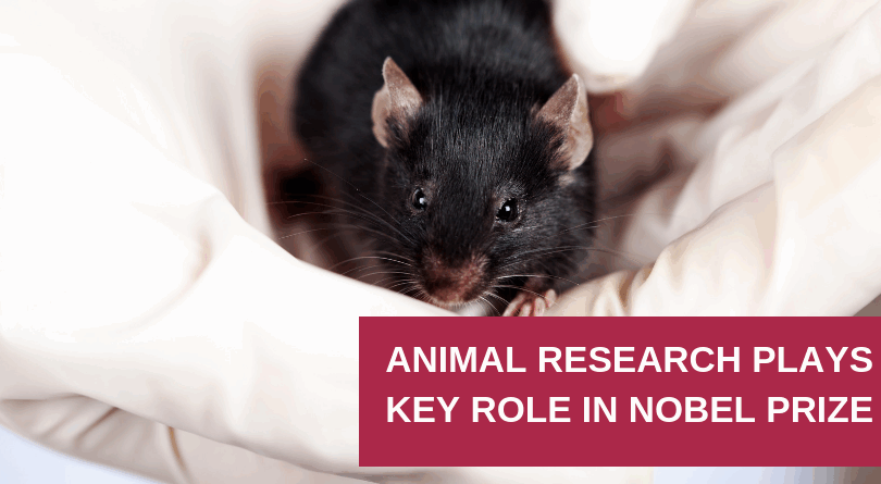 Animal Research Plays a Key Role in 2017 Nobel Prize