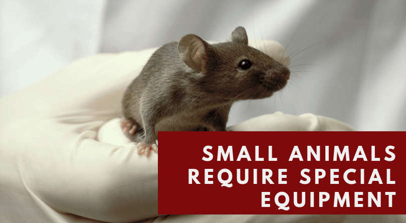 The Importance of Physiological Monitoring in Preclinical Research