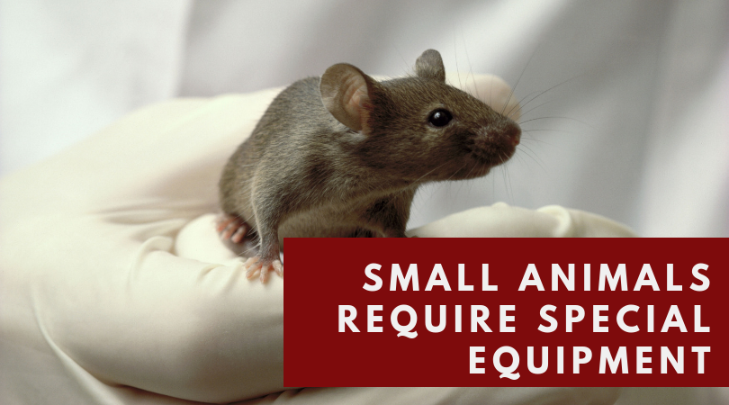 The Importance of Physiological Monitoring in Preclinical Research