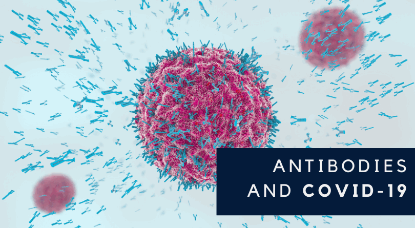 How Antibodies Work and Why They’re the Key to Controlling COVID-19
