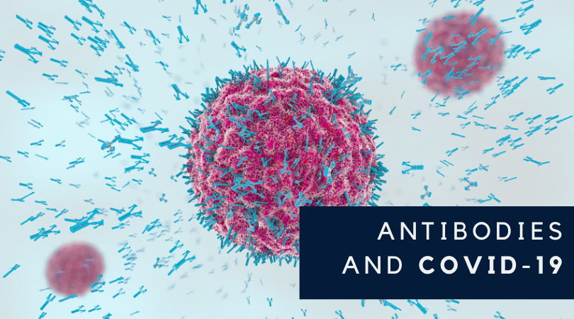 How Antibodies Work and Why They’re the Key to Controlling COVID-19
