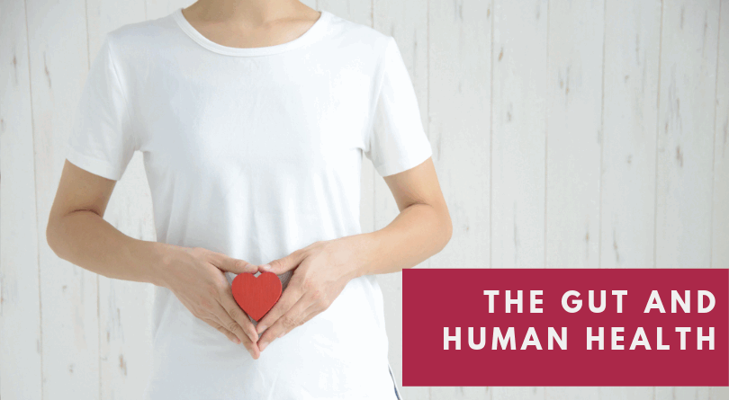 Multiple New Research Focused on Microbiome as Scientists Look to the Gut for Answers