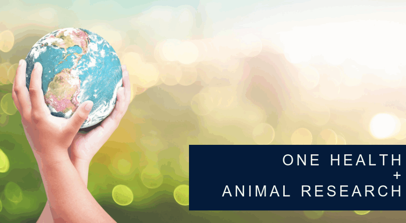 What is One Health and Why It Is Important for Scientific Research?