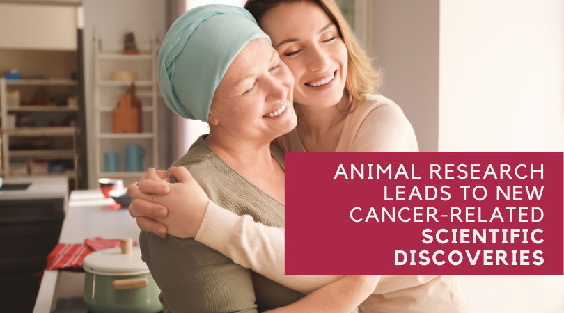 Animal Research Leads to New Cancer-Related Scientific Discoveries