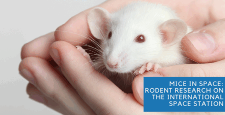 Mice in Space: Rodent Research on the International Space Station
