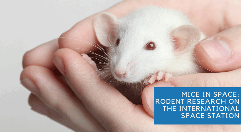 Mice in Space: Rodent Research on the International Space Station