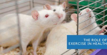 The Role of Exercise in Health