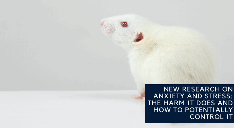 Research with Animals Sheds New Light on Issues Surrounding Fertility