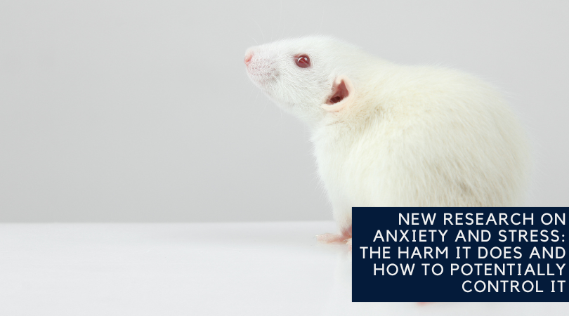 Research with Animals Sheds New Light on Issues Surrounding Fertility