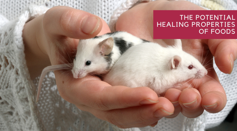 The Potential Healing Properties of Foods