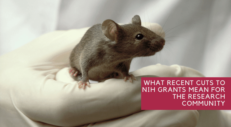 What Recent Cuts to NIH Grants Mean for the Research Community