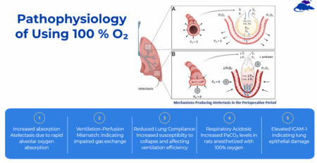 Advancing Research Animal Welfare Through Smarter Oxygen Control During Anesthesia