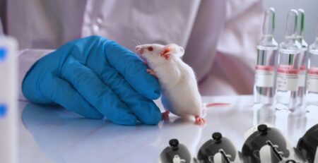 Tail-Cuff Blood Pressure in Mice and Rats Masthead